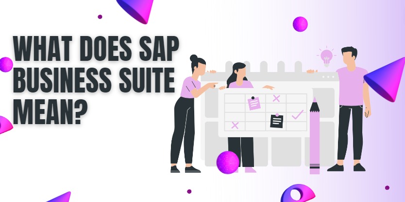 What does SAP Business Suite Mean?